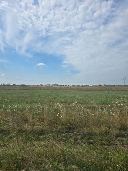 Mosnita Veche - 11 parcele - 10800 mp- CF individuale - 8