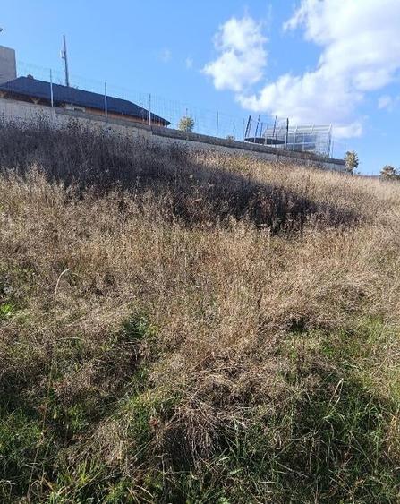 Teren 1000 mp intravilan, Zona Tarpiului - 4