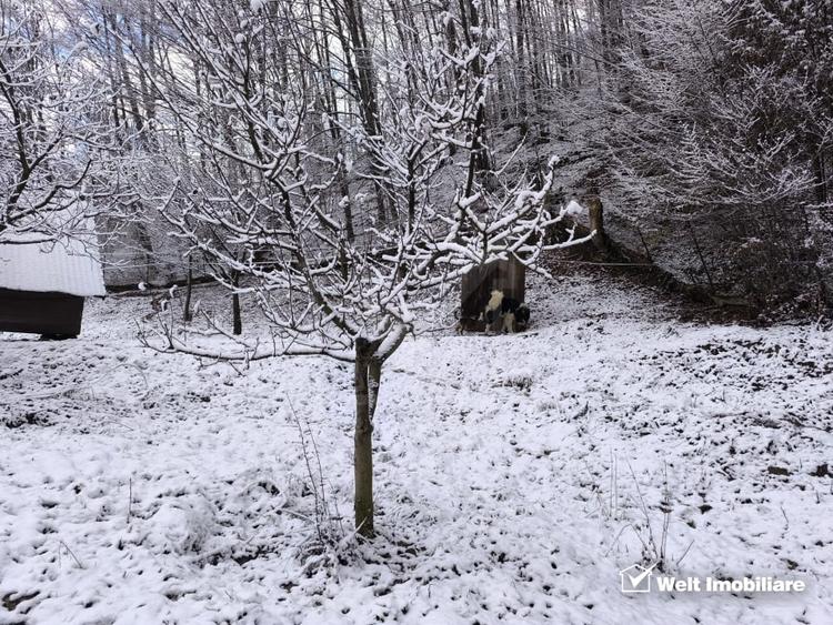 Casa de vacanta, cu lac, 5640 mp teren, Huta, com. Chiuiesti, jud. Cluj - 51