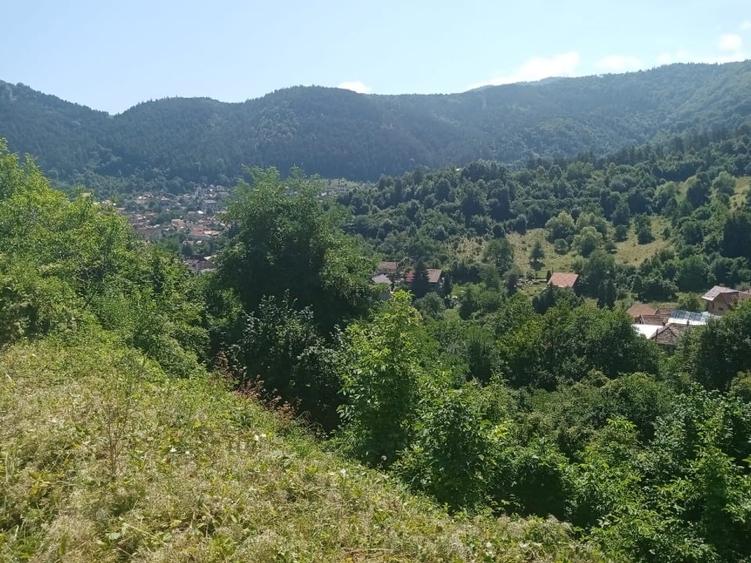 Exceptional! 779 mp teren pe Drumul de Poiana - Coltul Putinarilor - 9