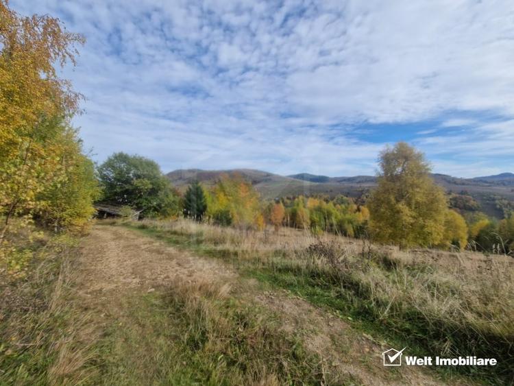 Teren de vanzare – Muntele Baisorii, 1000 mp, vedere spre rezervatia Belioara - 3
