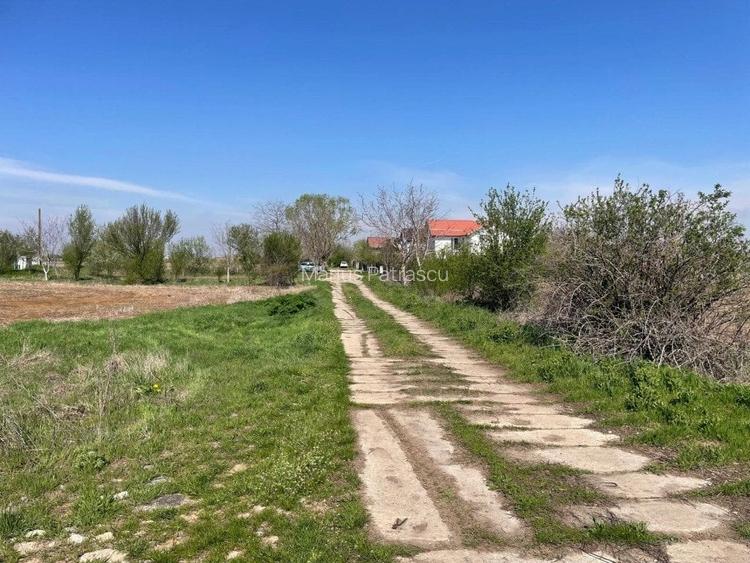 Teren Aeroport Clinceni