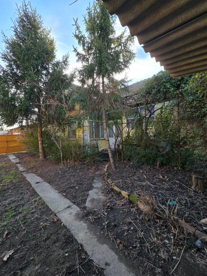 Sag - Casa P si teren 1937 mp- Vatra veche - 5