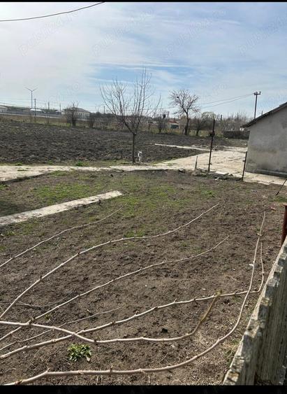 Casa de vanzare,comuna Pecineaga,Constan?a - 5