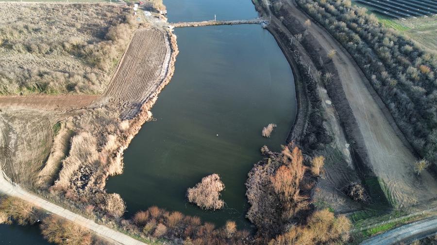 Vanzare balta pescuit, domeniu piscicol, Valter Maracineanu, Giurgiu - 2