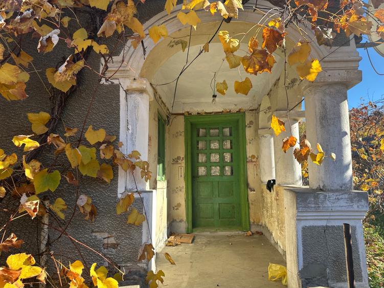 Casa batraneasca + casa noua la rosu, teren 6.900 mp Cotmeana, Arges - 6