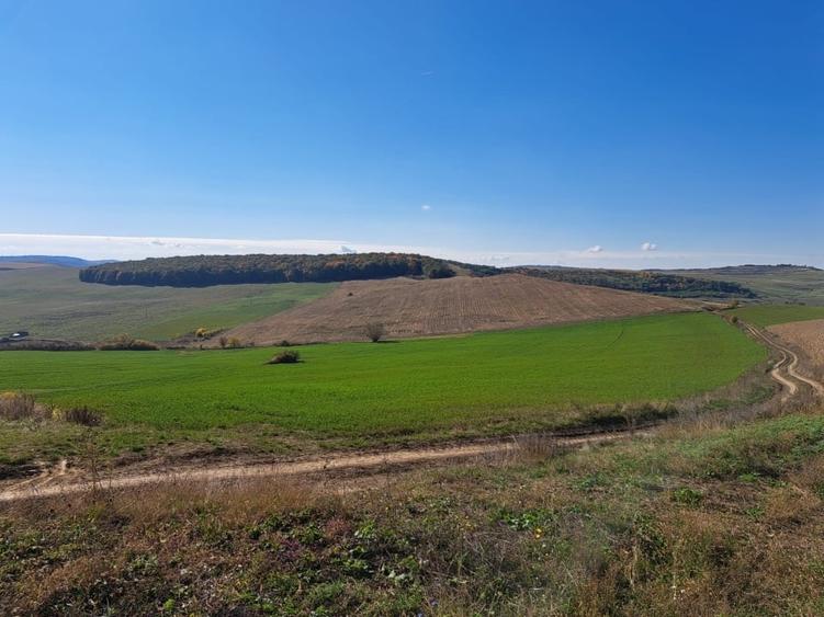 Teren agricol extravilan de 270000 mp, în Visuia