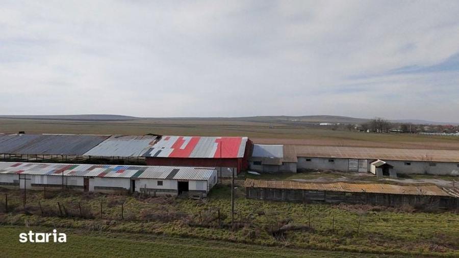 VAND sau INCHIRIEZ FERMA in Salcioara, judet Tulcea - 3