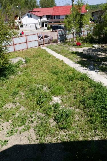 Sat Savesti, Comuna Branistea, judetul Dambovita - 15