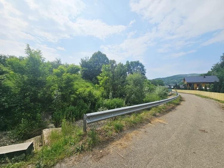 Teren intravilan lângă pădure – 1659 mp,  C.U. P+2E, Vărbilău - 5