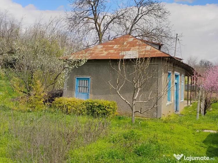 Somova-casa batraneasca - 1