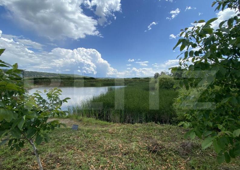 Teren extravilan 10000 mp, cu balta de peste, Salaj, Sarmasa - 7