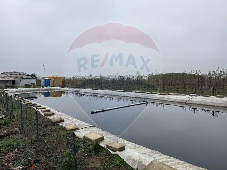 Ferma agro-industriala - 43 ha Adunatii Copaceni - 12