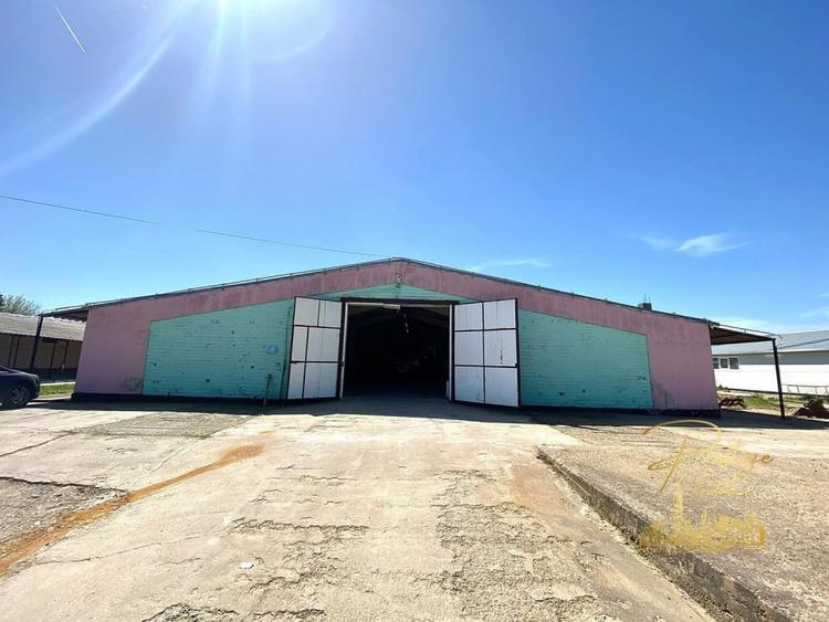 Hala 470 mp de inchiriat in Palota - Bihor - 3