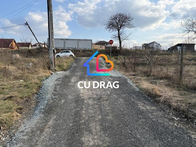 Teren intravilan cu toate utilitatile si drum amenajat Daia - 1