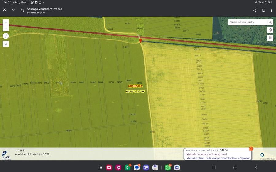 Teren de vinzare Gradistea jud Ilfov - 5