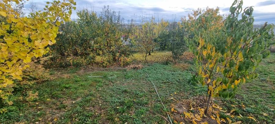 Teren intravilan imprejmuit la intrare in Curtesti - 2