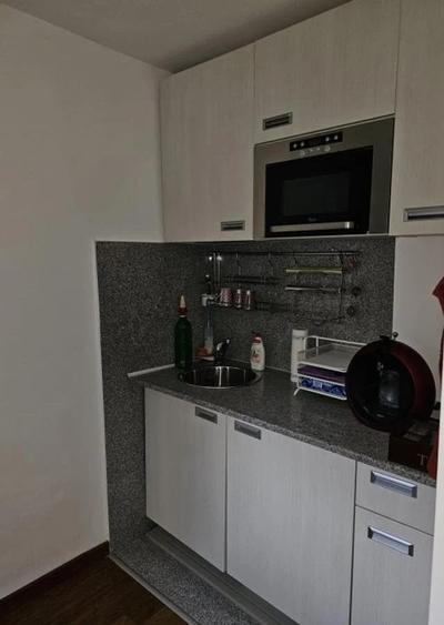 Garsoniera mobilata, Investitie,inchiriata 250 euro, Teiul Doamnei - 6