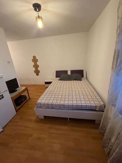 Ofer pentru inchiriere. - 3