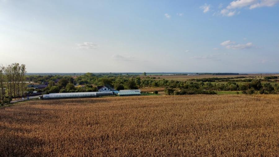 Teren rezidential retras langa lac SNAGOV in Silistea Snagovului, DN1, A3 - 10