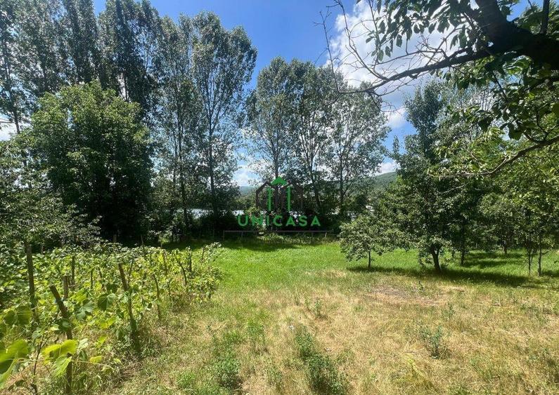 Teren Fedelesoiu/3200 mp/Intravilan - 5