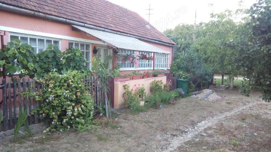 Casa la tara - 2