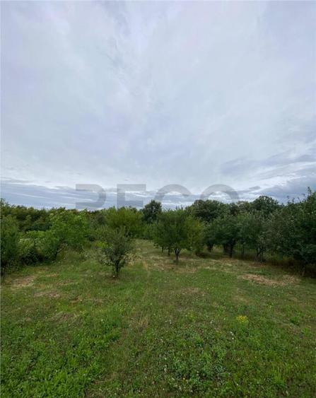 RECO Casa cu teren in Hidiselul de Sus - 2