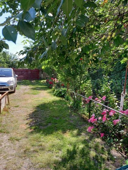 Casa de vanzare Radomire?ti Olt - 4