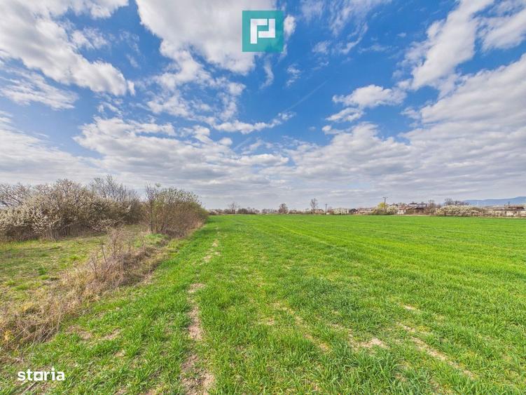 Teren extravilan, 1 ha, in orasul Sebis, Arad - 5