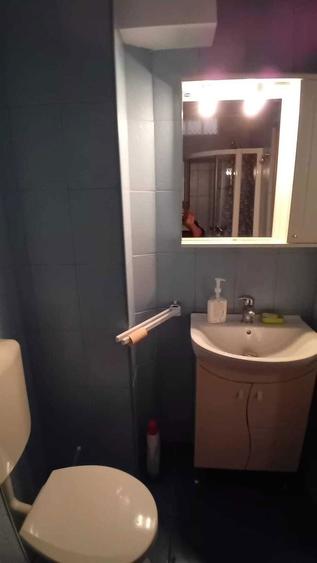Garsoniera de inchiriat in aproprierea insulei de agrement - 7