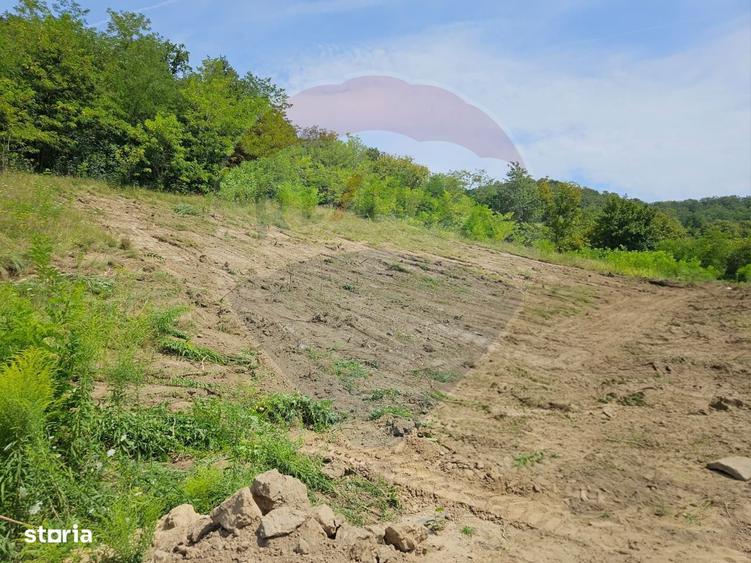 Teren intravilan pentru casa din doua parcele a cate 800mp fiecare - 1