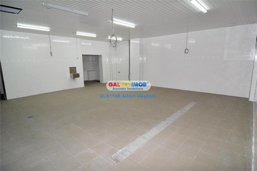 Vanzare spatiu productie alimentara P-ta Delfinului - 1