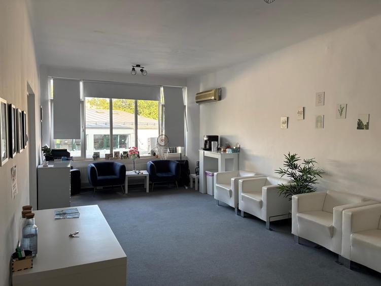 MÂNTULEASA | VILĂ EXCLUSIVISTĂ ÎN CENTRUL BUCUREȘTIULUI – 1.100.000 € - 52