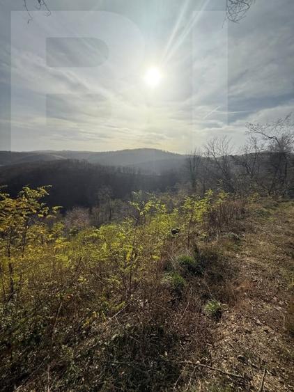 Teren extravilan de 8271 mp, în Cerbăl