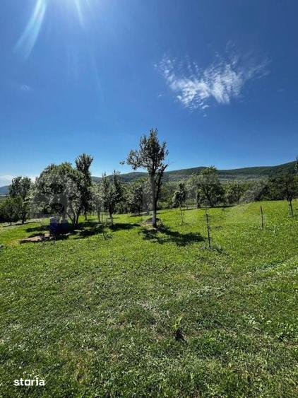 Livada in Arcalia, langa padure - 4.000 mp - 4