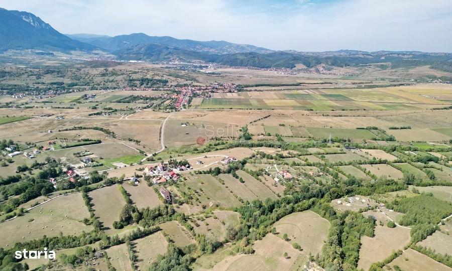 Spațiu comercial, în Sohodol