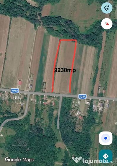 Teren de 9230 mp, în Cocu
