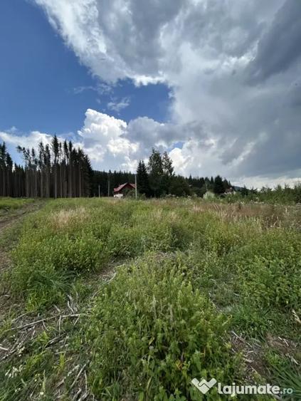 Teren în Nord