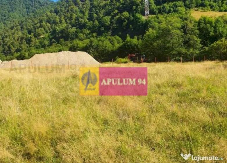 Teren Jude?ul Valcea - Brezoi, Valea lui Stan - 10