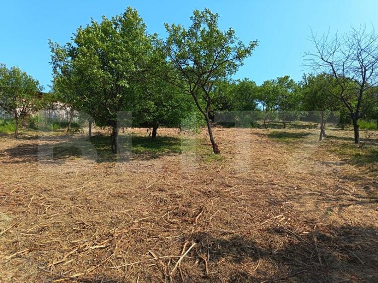 Casa cu 2 camere, 250 mp, zona sud-est - 2