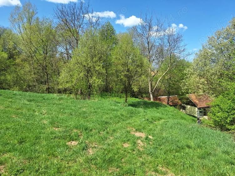 Vand casa Cornitel - 2