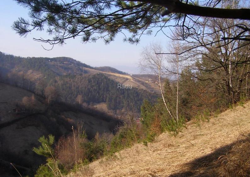 Teren intravilan Brasov 20320mp Teren intravilan Brasov 20320mp
