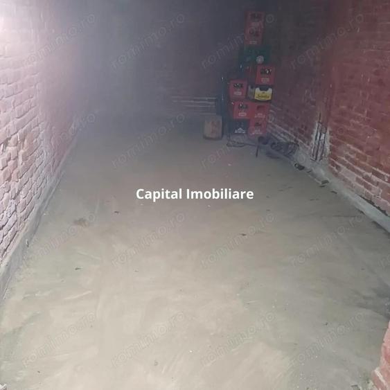 Spa?iu comercial generos, la drum principal, localitatea Daia - 11