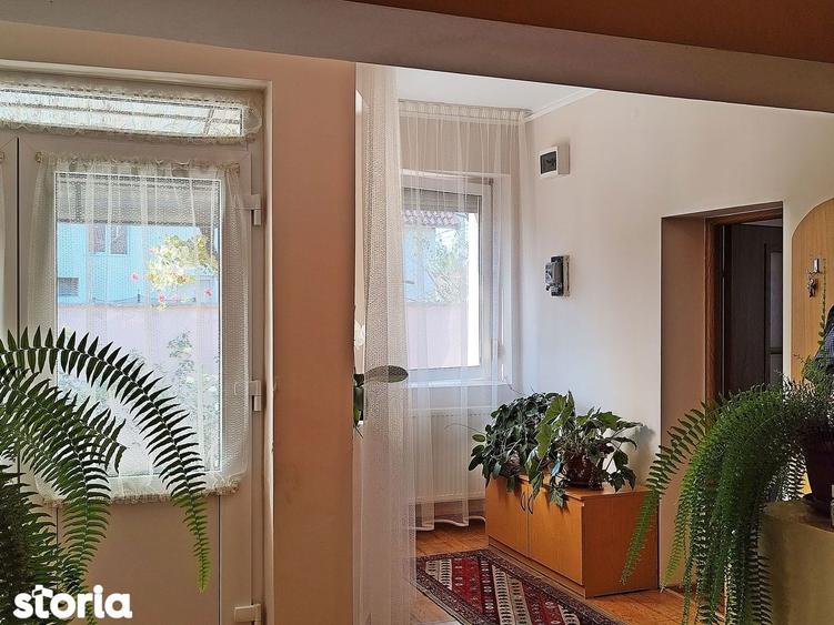 Casa la tara in Sacadat, Bihor, teren 2826 mp, acces auto - Vanzare - 11