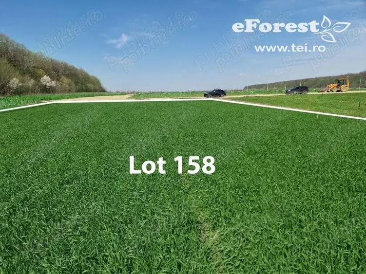 Profita acum de oferta de Pa?te! Teren aproape de natura ?i Bucure?ti, acces din DN1A, eForest - 4