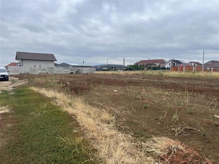 RECO Imobiliare teren Sanmartin - 1