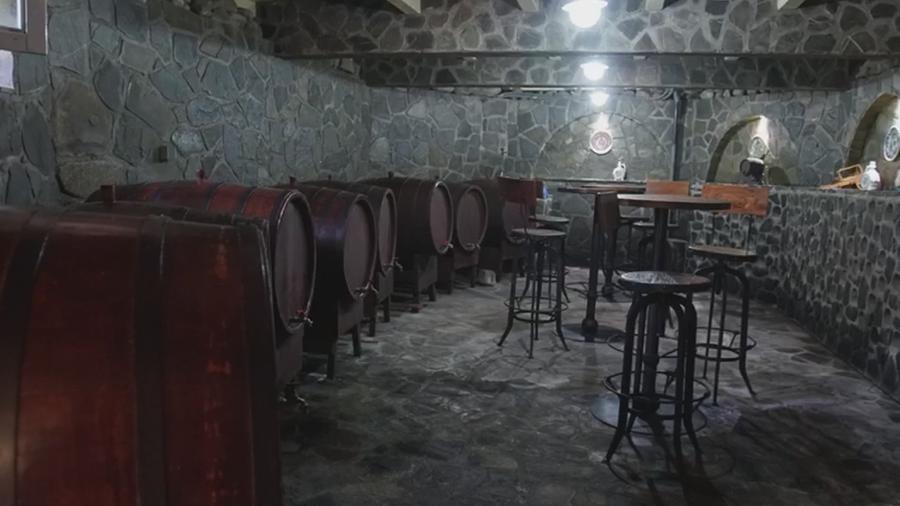 Vila de vanzare in Campina - Lunca Mare, teren 16500 MP - 13