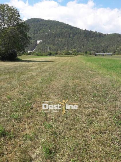 Teren de vanzare Pangarati 58.500 Euro 4488mp Intravilan - 1