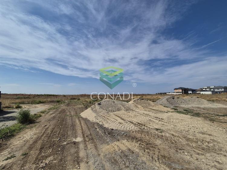 Teren -  Voluntari - zona Matei Millo - 5.607 mp - 2