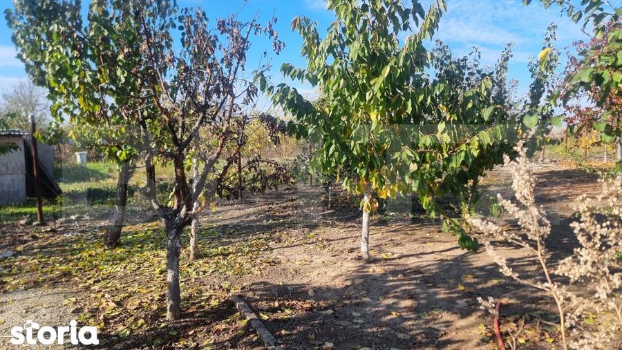 Casa-VILA deosebita ,mobilata plus toate facilitatile - 1